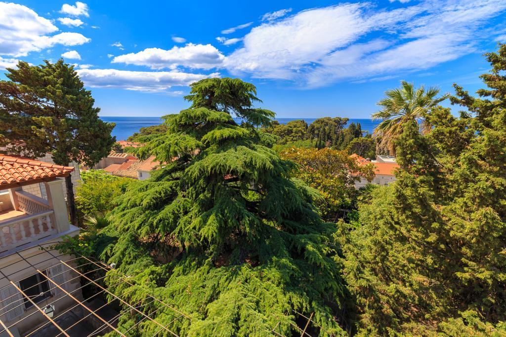 Villa Hedera Estate, House Hedera V Dubrovnik Exterior foto